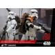 Star Wars Rogue One MMS Action Figure 2-Pack 1/6 Stormtroopers 30 cm